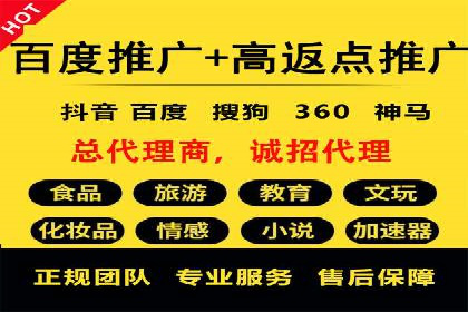 高效SEM托管公司案例对比分析